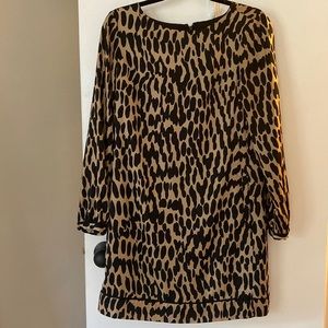 Ann Taylor Loft dress 4